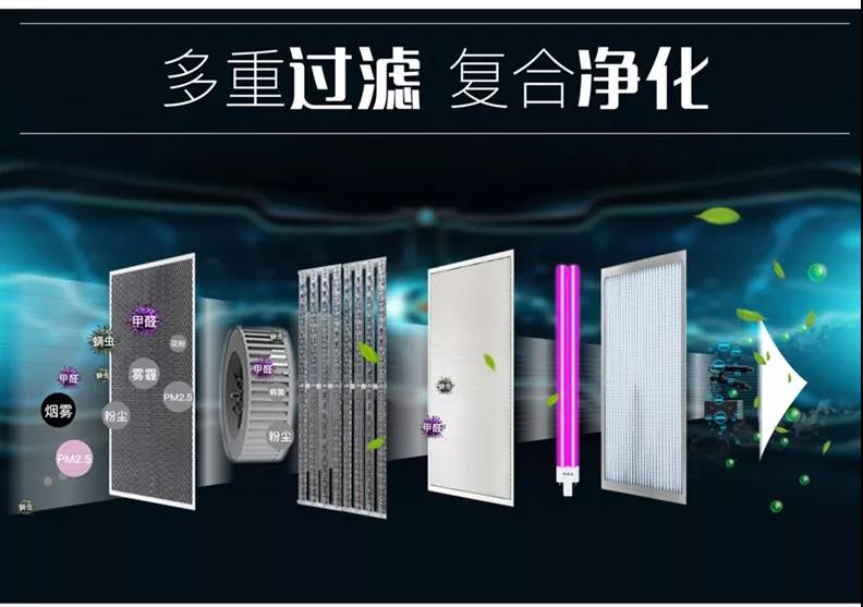 1650073361241189.jpg 3.jpg