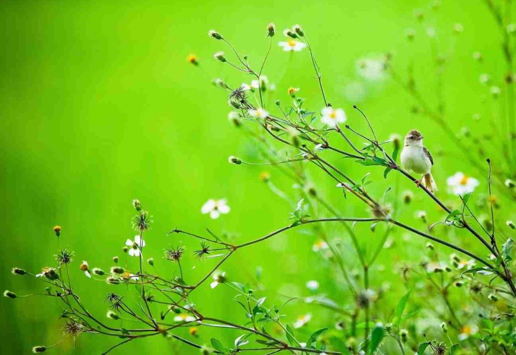 1675761748448873.jpg 4.jpg