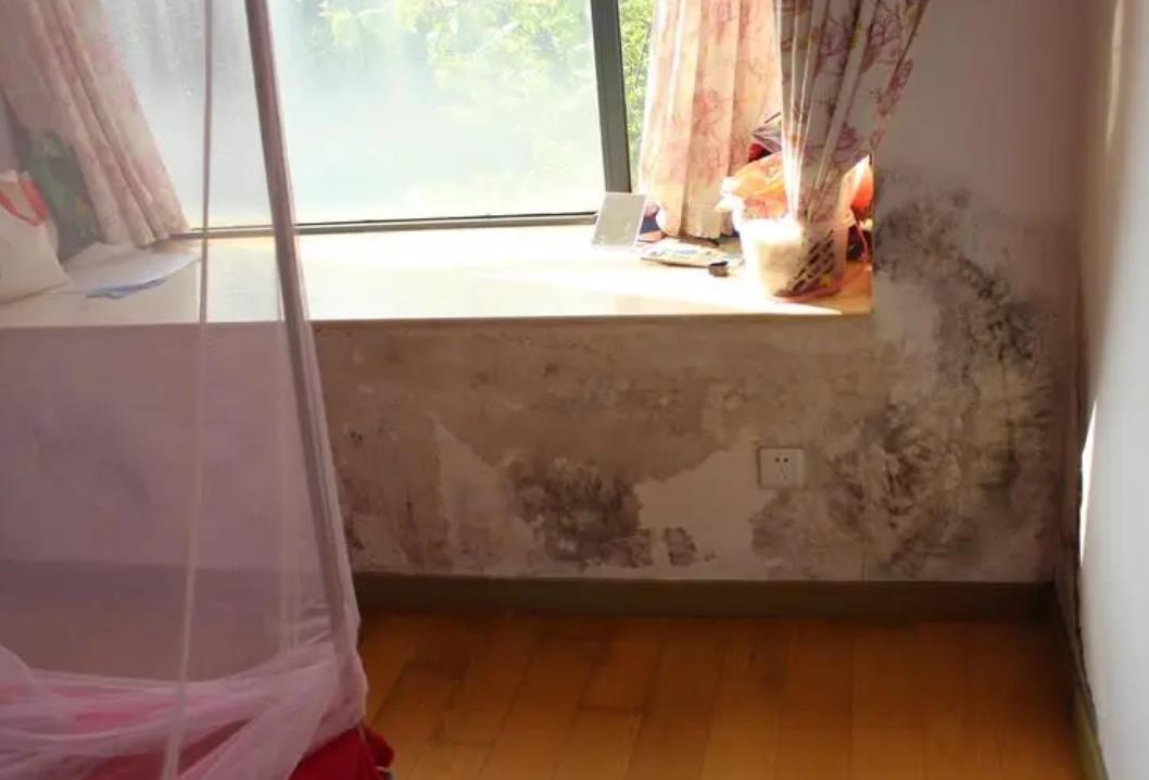 1675761761604717.jpg 5.jpg