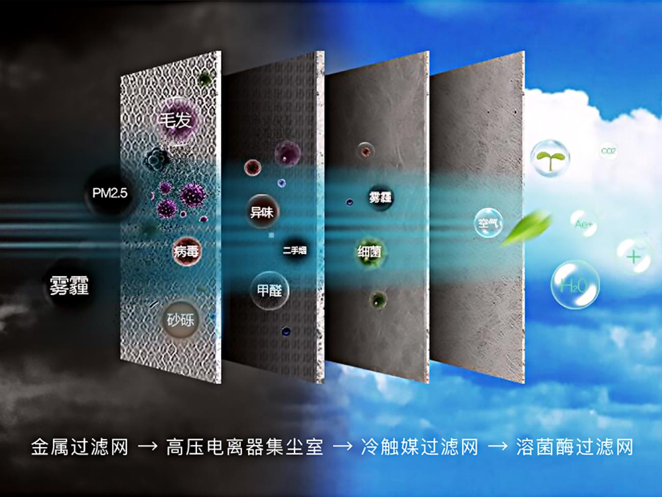 1677462677380017.jpg 6.jpg